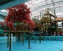 IMG_20260417_185534_852