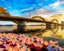 Da-Nang-Dragon-Bridge-featured